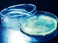 7 choses à savoir sur les antibiotiques