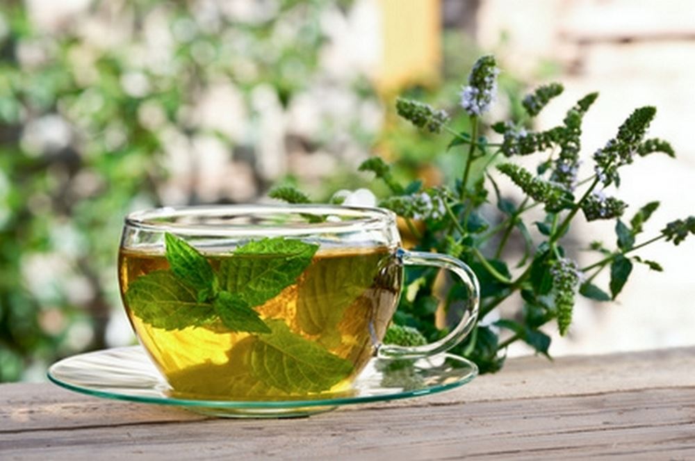 10 plantes pour faciliter la digestion