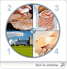 gastroenterite_pm
