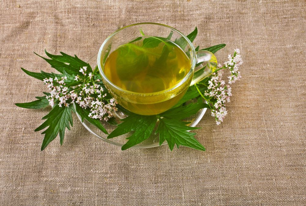 5 produits naturels pour lutter contre la fatigue