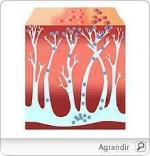 zona_pm