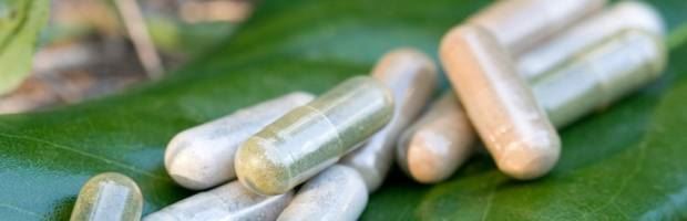 Phytothérapie : se soigner avec les plantes 