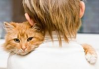 Animaux de compagnie